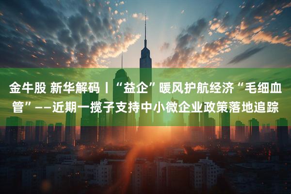 金牛股 新华解码丨“益企”暖风护航经济“毛细血管”——近期一揽子支持中小微企业政策落地追踪