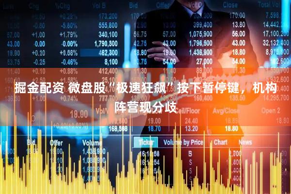 掘金配资 微盘股“极速狂飙”按下暂停键，机构阵营现分歧